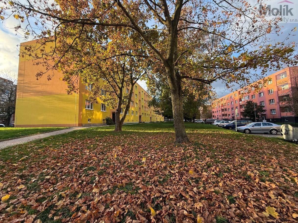 2+1, M. Švabinského, Bílina, 56 m² - 1