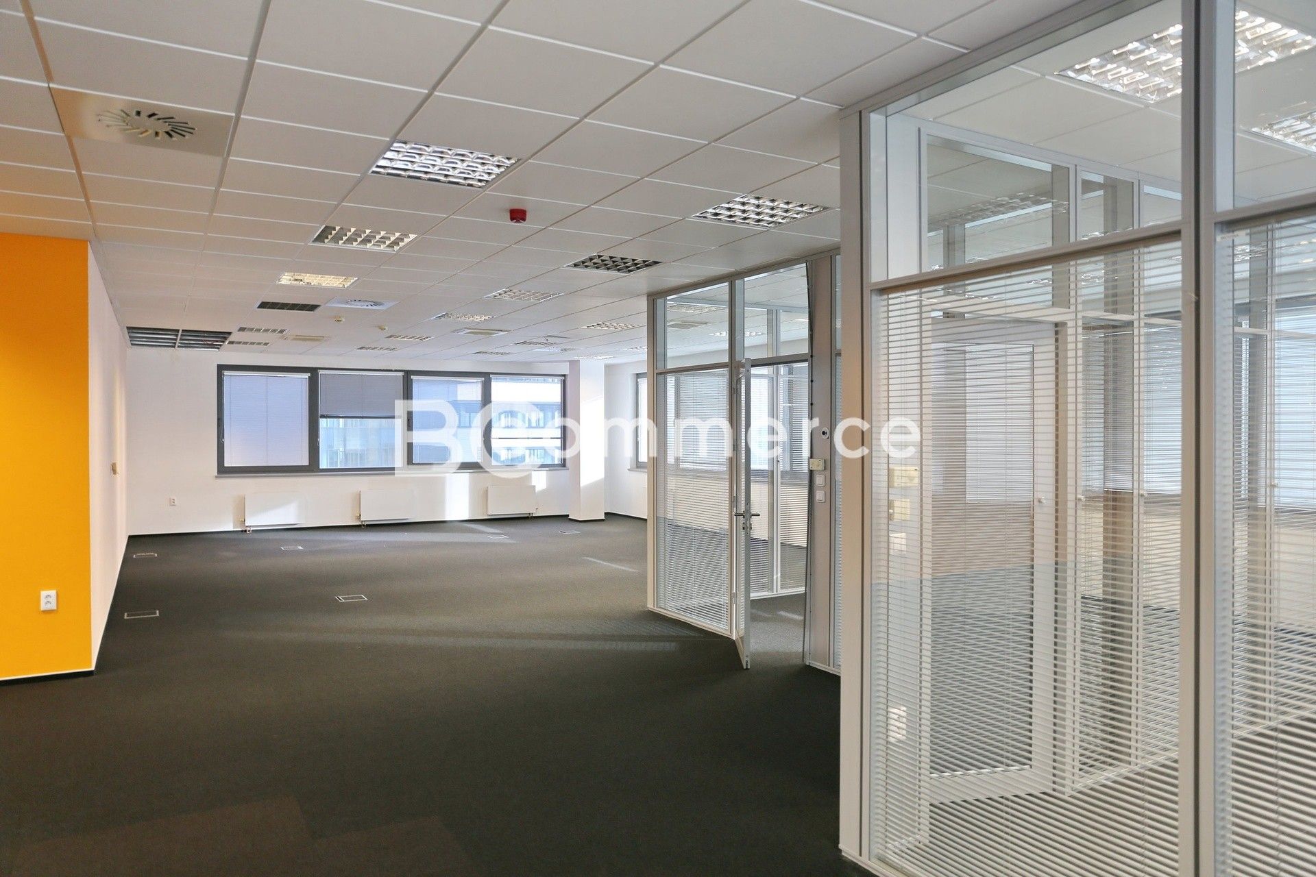 Kanceláře, Štýřice, Brno, 300 m²