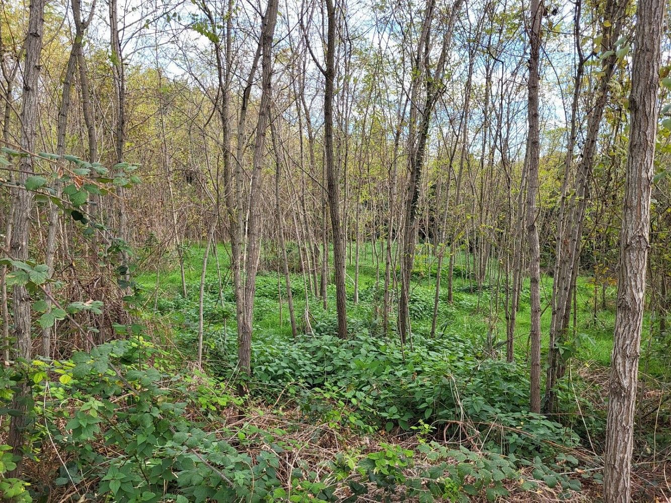Pozemek pro bydlení, 900 m²
