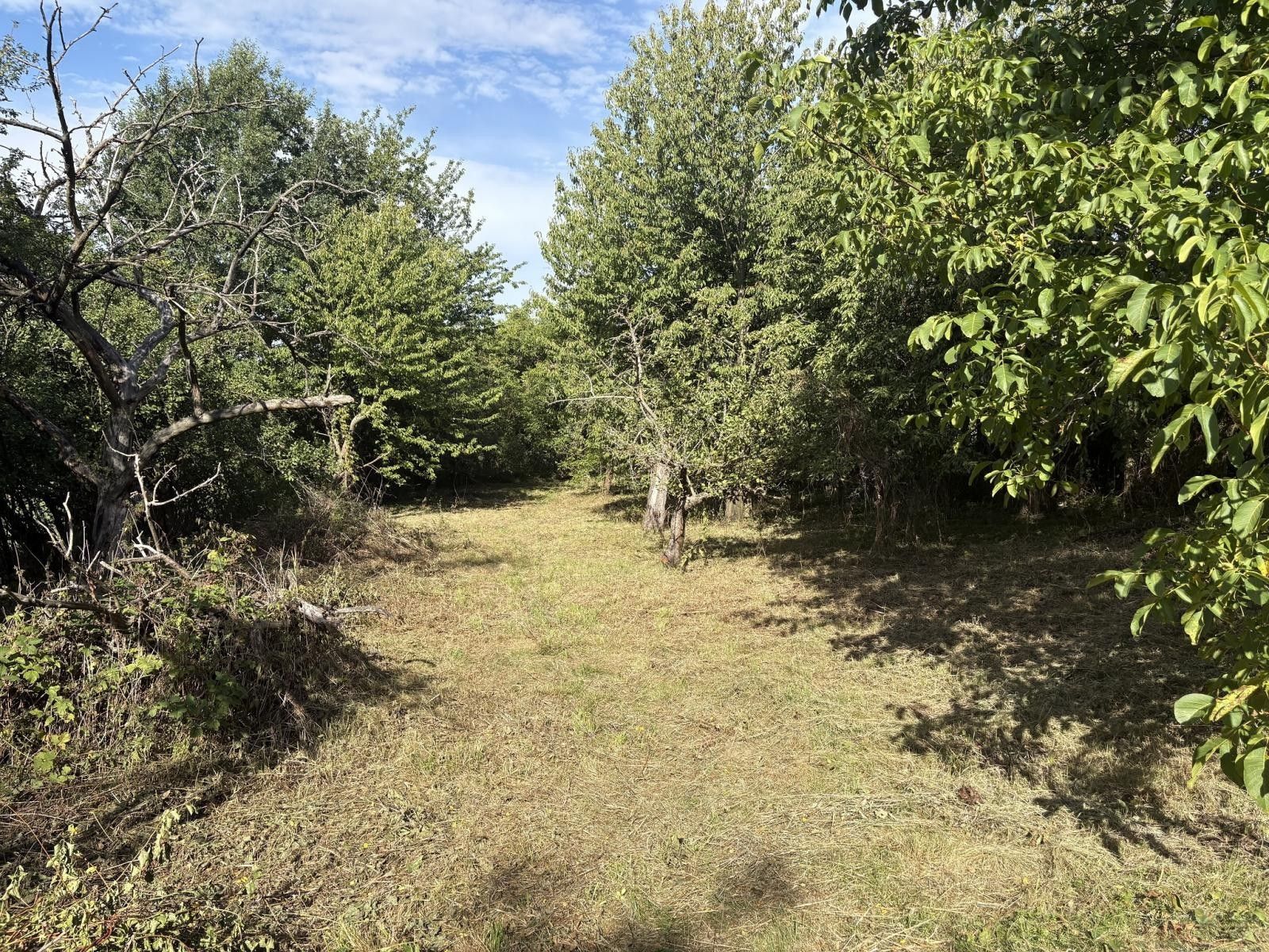 Zahrada, 2 317 m²