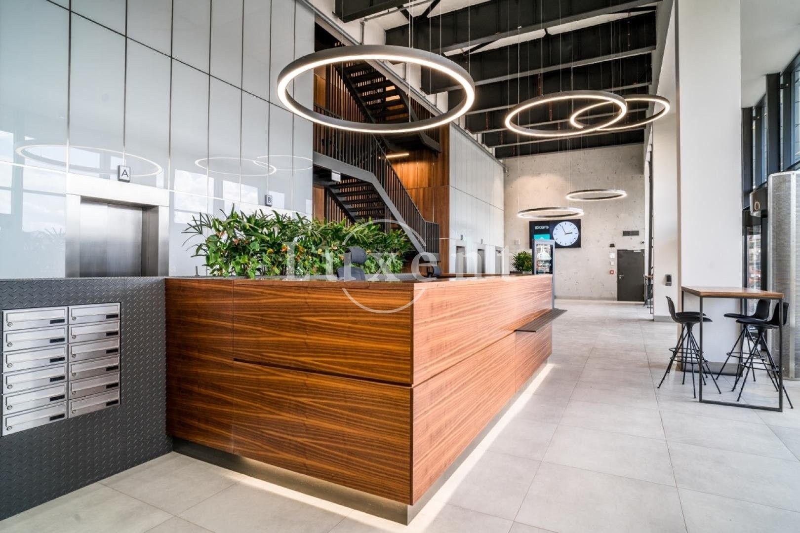 Kanceláře, Lazaretní, Brno, 5 m²