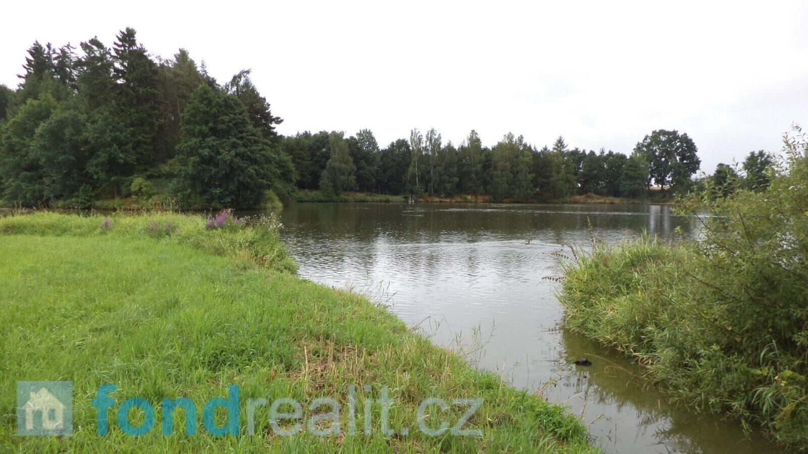 Pozemek · 5 241 m² · Kocelovice - 4