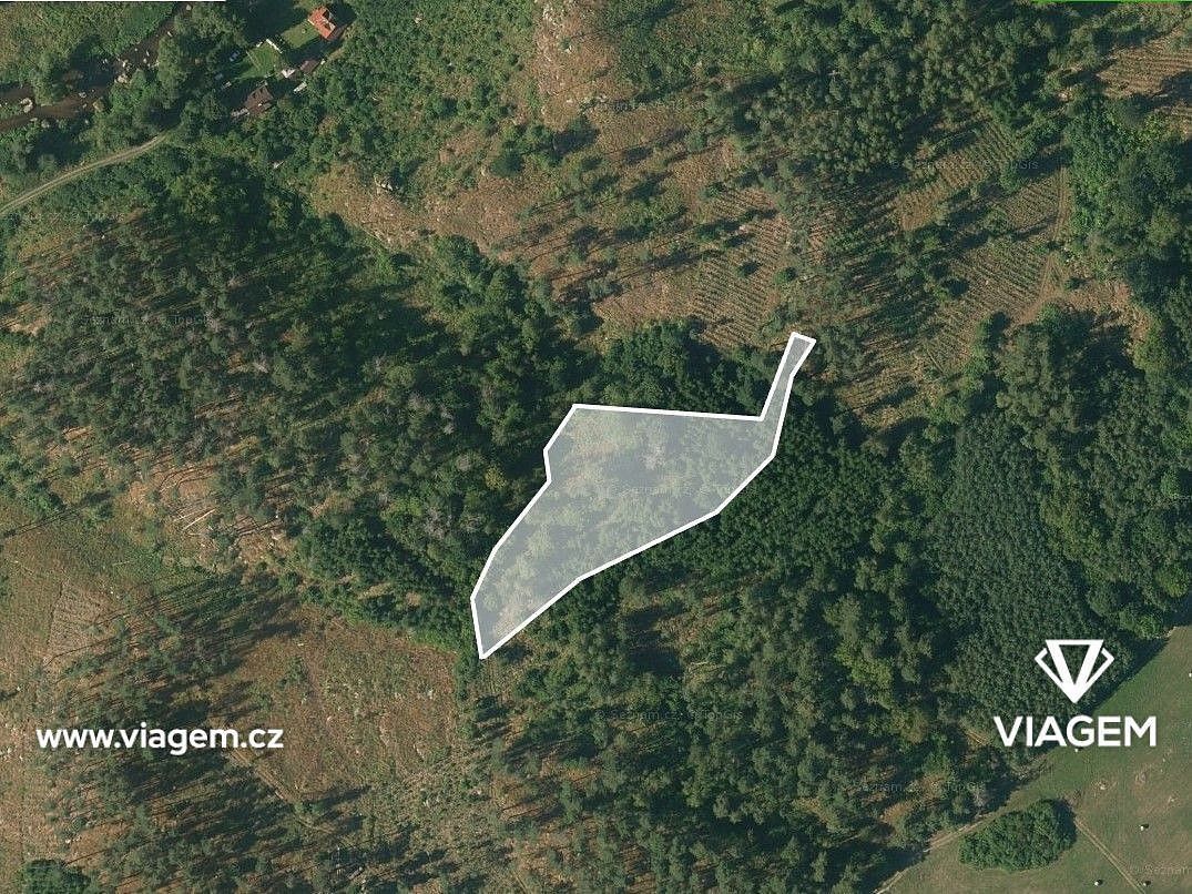 Prodej les - Petráveč, okres Žďár nad Sázavou, Kraj Vysočina - 2