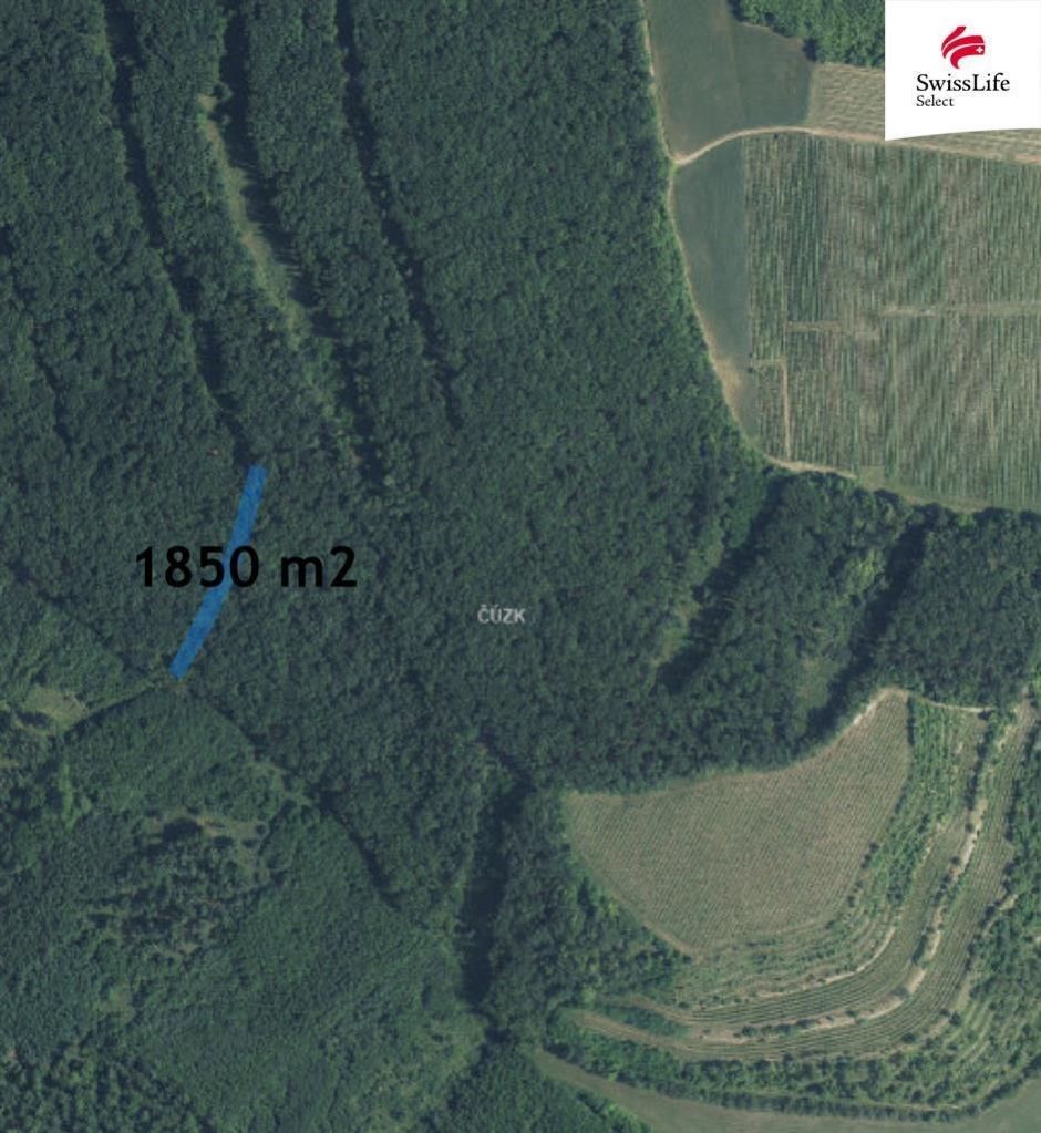 Prodej les - Brumovice na Moravě, 691 11, 1 850 m²