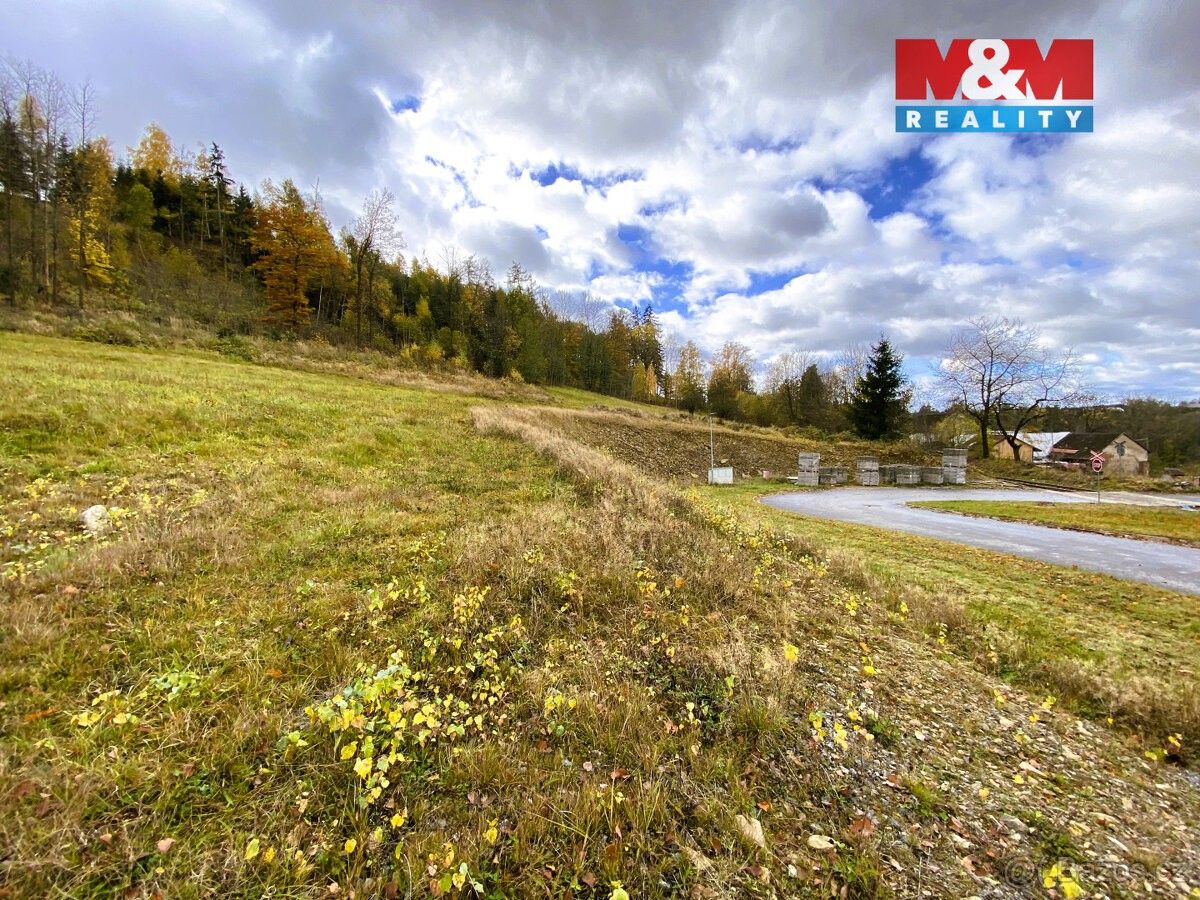 Prodej pozemek pro bydlení - Velká Losenice, 592 11