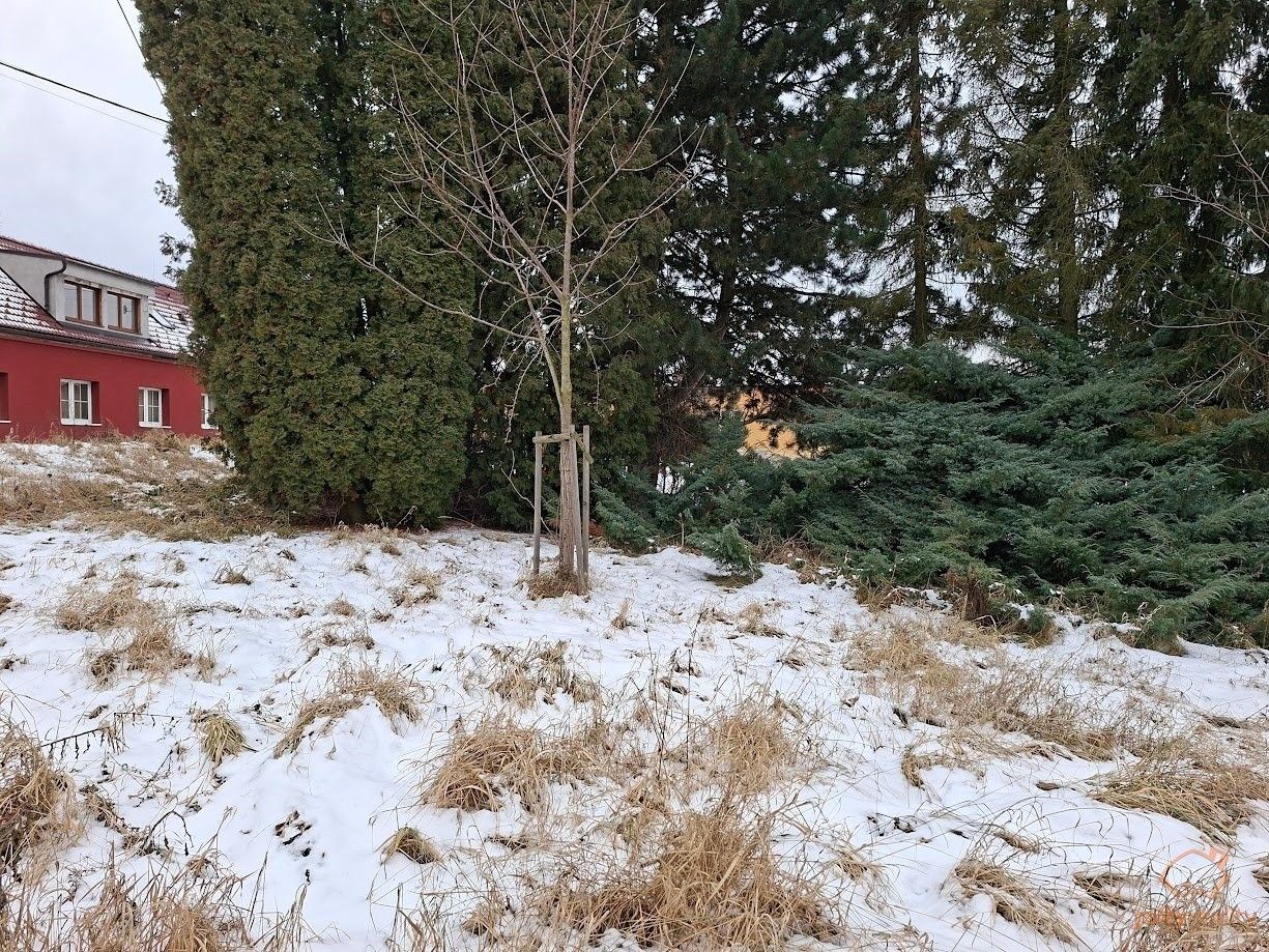 Prodej pozemek pro bydlení - Těchov, Blansko, 308 m²