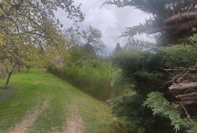 Prodej zahrada - Rozdrojovice, okres Brno-venkov, Jihomoravský kraj - 5
