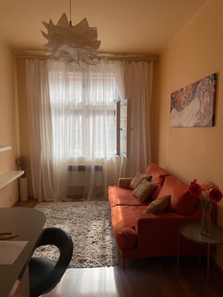 Byt 2+kk · 49 m² · Písecká, Praha - Vinohrady - 3