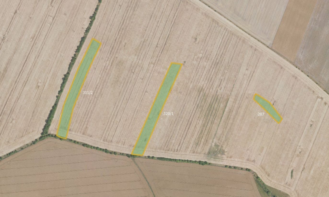 Zemědělské pozemky, Hlavenec