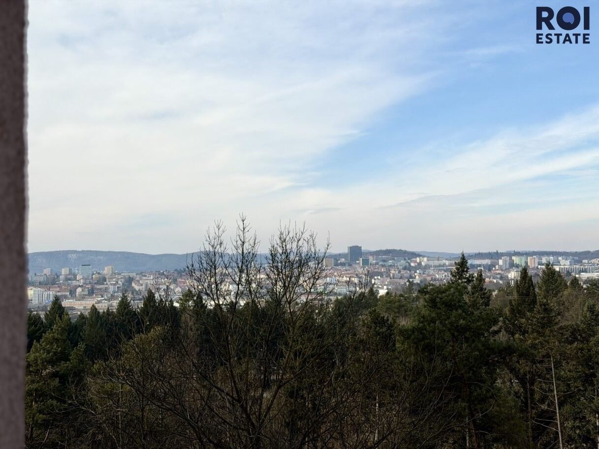 Pronájem byt 1+1 - Halasovo náměstí, Brno, 31 m²