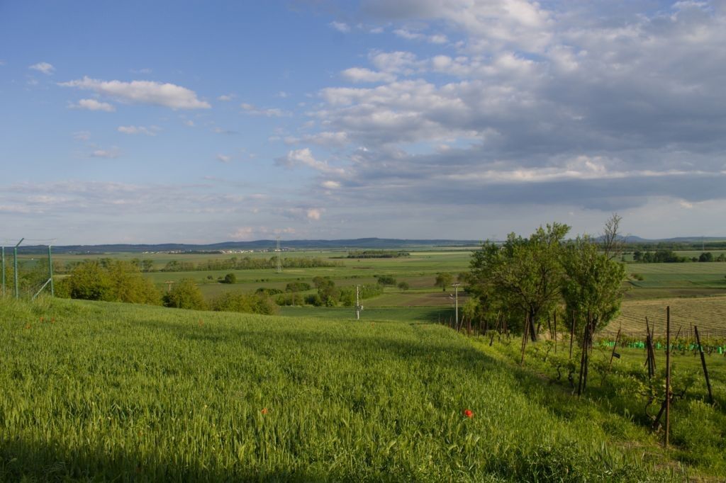 Zahrada · 2 706 m² · Měnín - 4