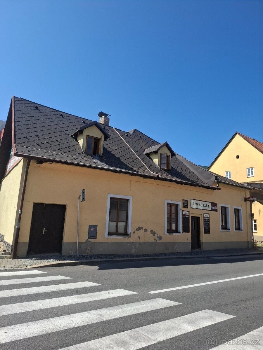 Obchodní prostory · Jindřichův Hradec, 377 01 - 4