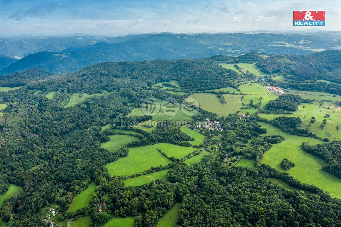 Les · Homole u Panny - Suletice, okres Ústí nad Labem, Ústecký kraj - 4