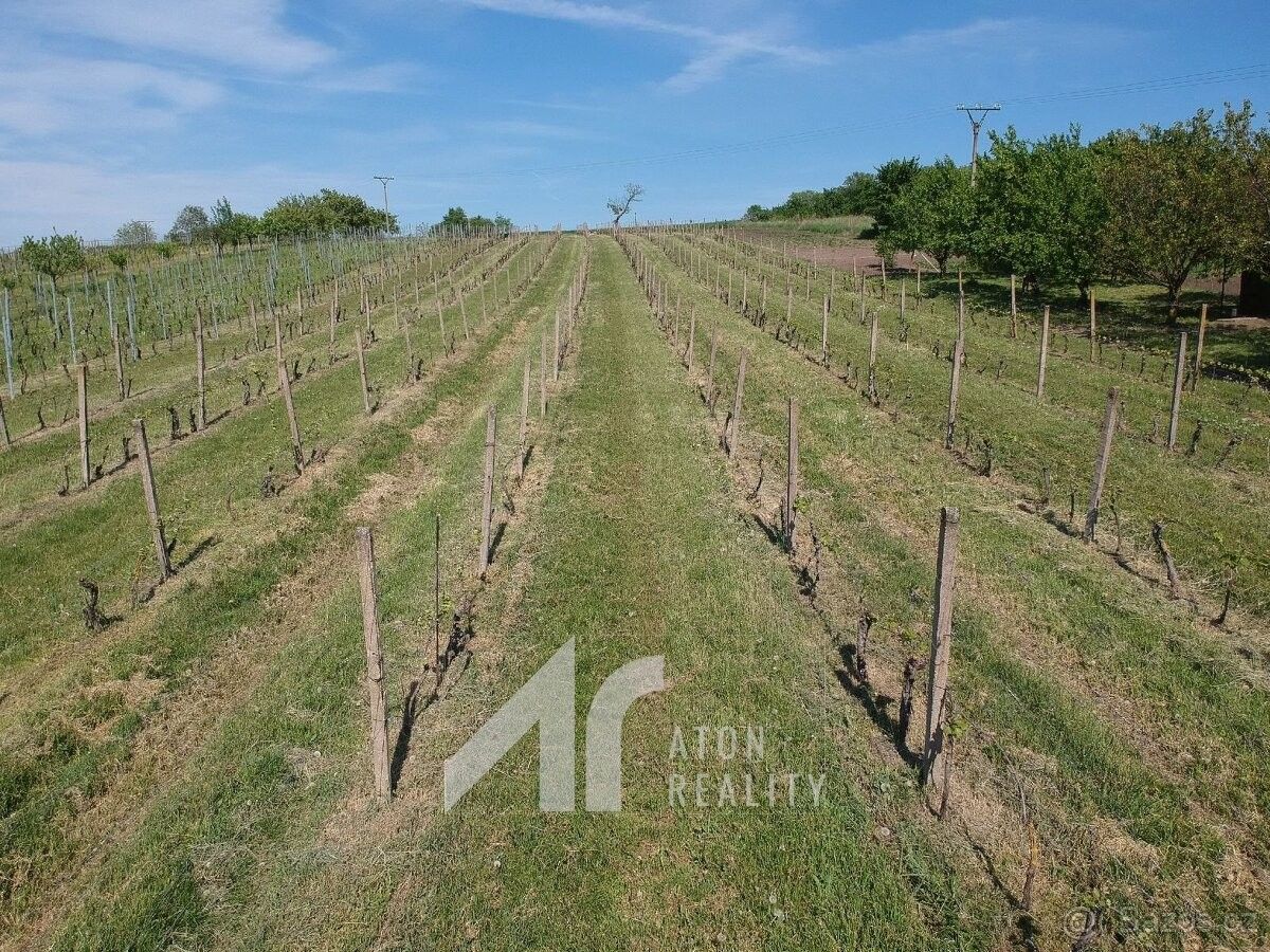 Pozemky pro bydlení, Křepice u Hustopečí, 691 65