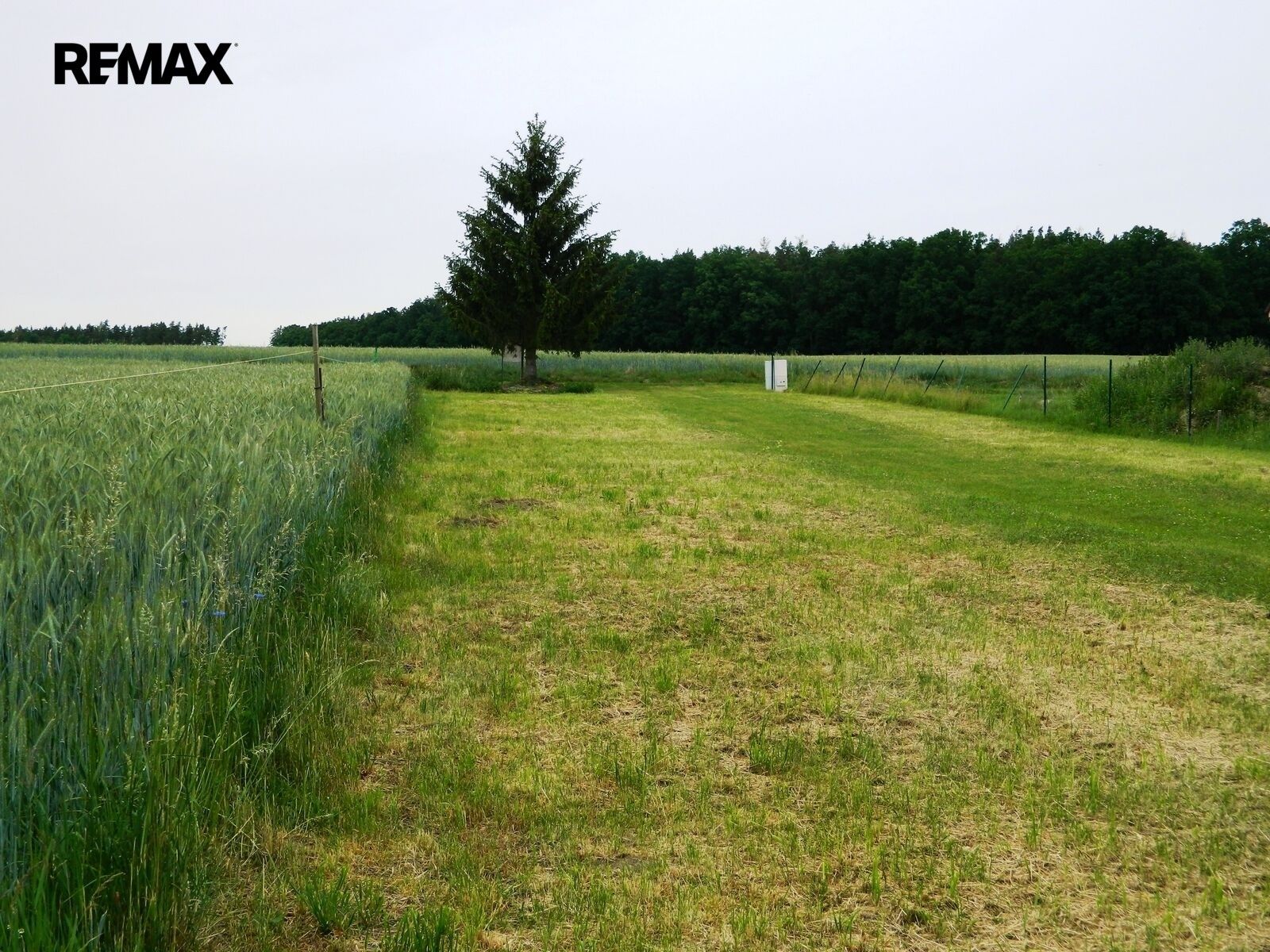 Pozemek pro bydlení · 984 m² · Přehořov - 3