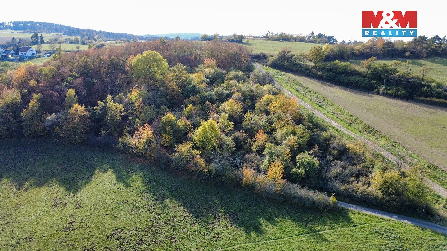 Prodej zemědělský pozemek - Milešov, okres Příbram - 5