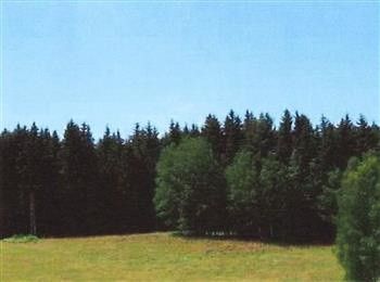 Prodej pozemek pro bydlení - Bernartice, 541 01