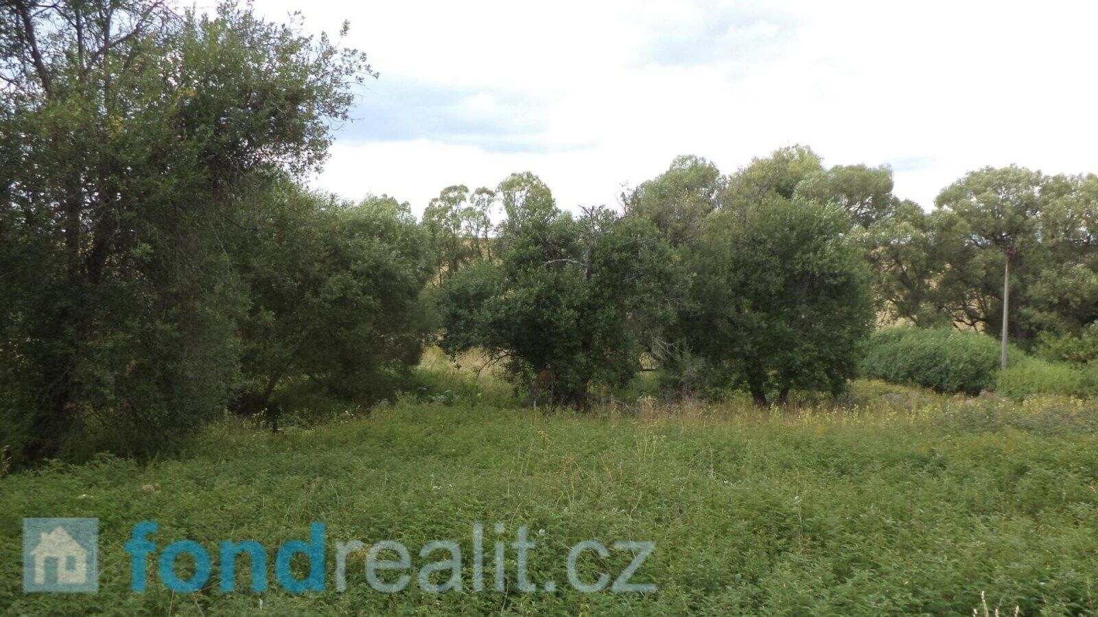 Prodej pozemek - Mnichov, 12 m²