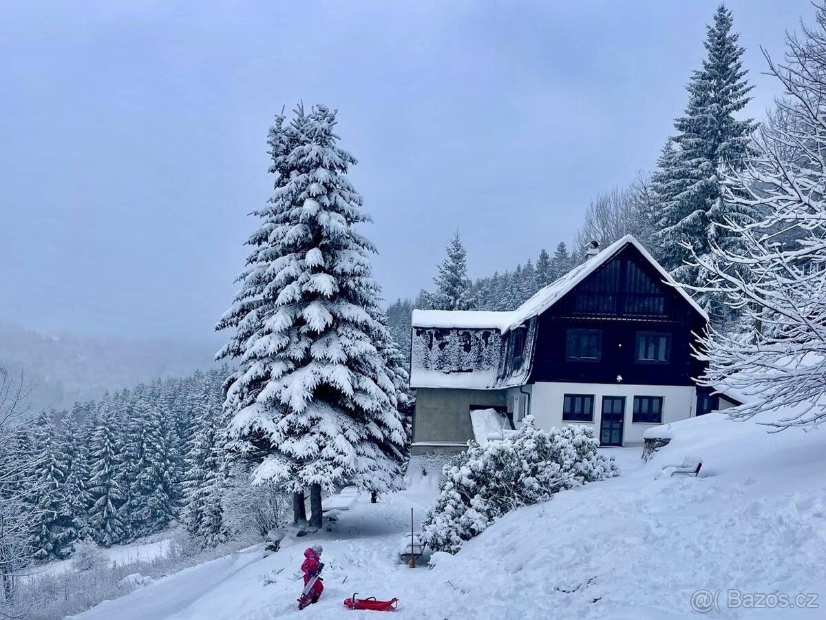 Rodinné domy, Desná v Jizerských horách, 468 61