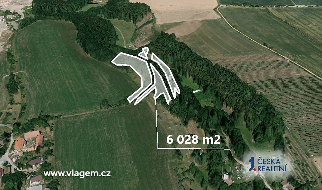 Prodej les - Velký Třebešov, okres Náchod, Královéhradecký kraj - 2