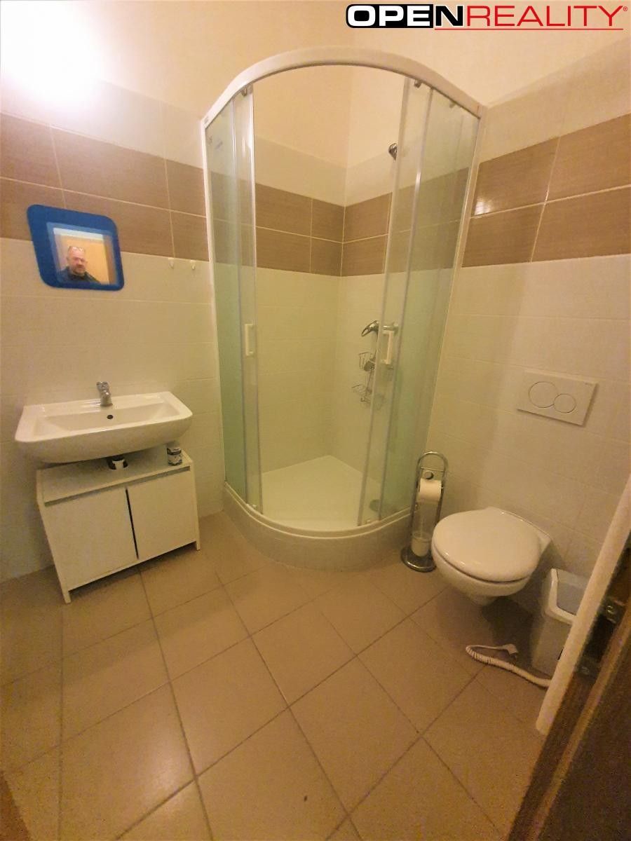 Byt 1+1 · 33 m² · Smetanova, Brno - 3