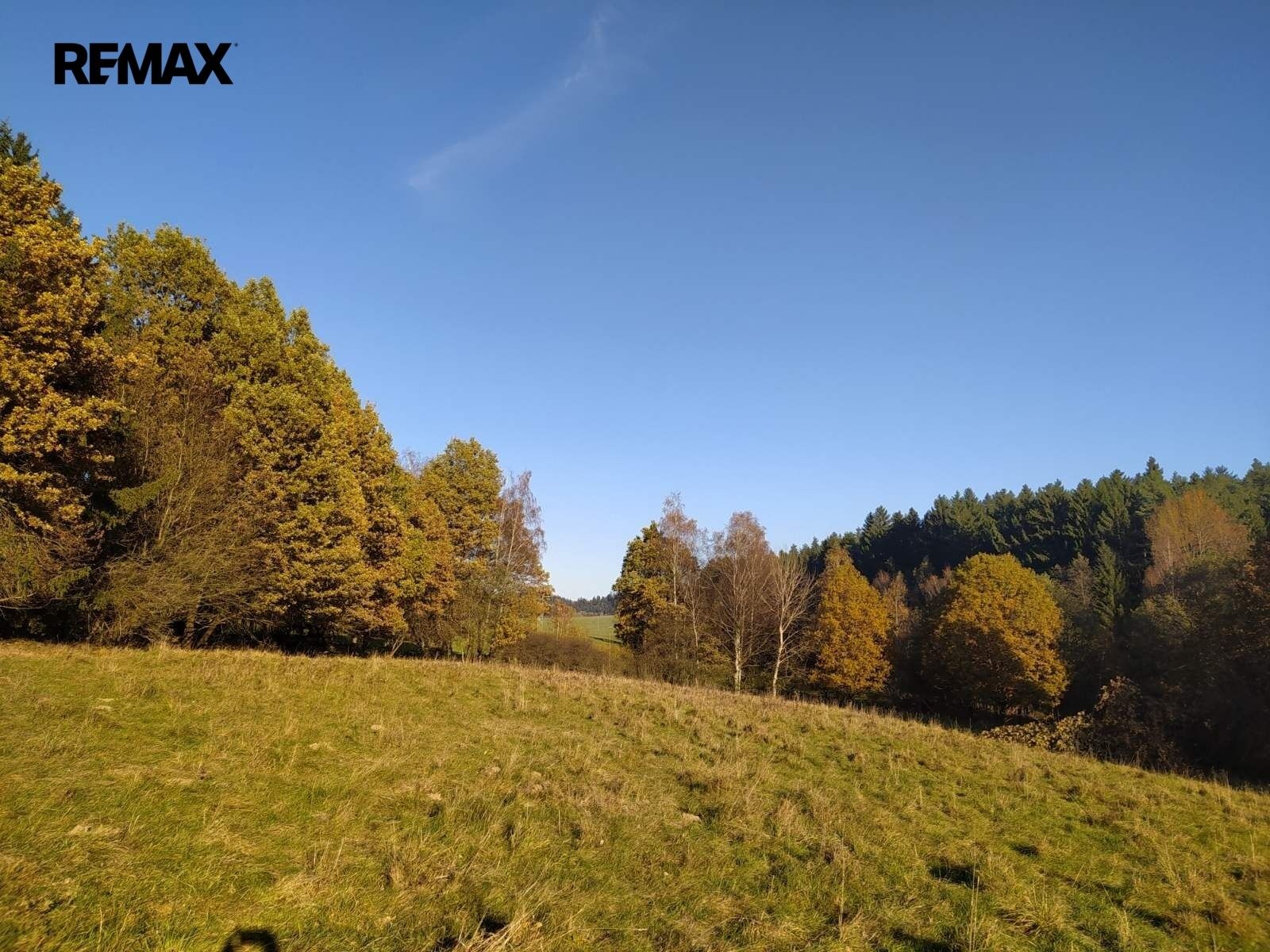 Louka · 20 332 m² · Kynšperk nad Ohří - 4