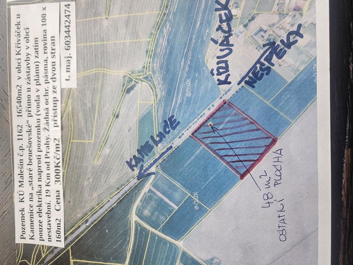 Prodej zemědělský pozemek - Křiváček, Řehenice