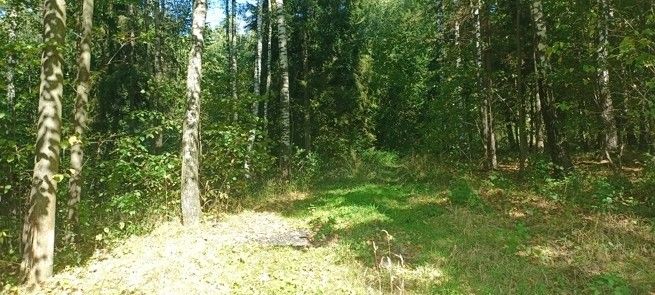 Pronájem les - Baška, 739 01, 6 000 m²