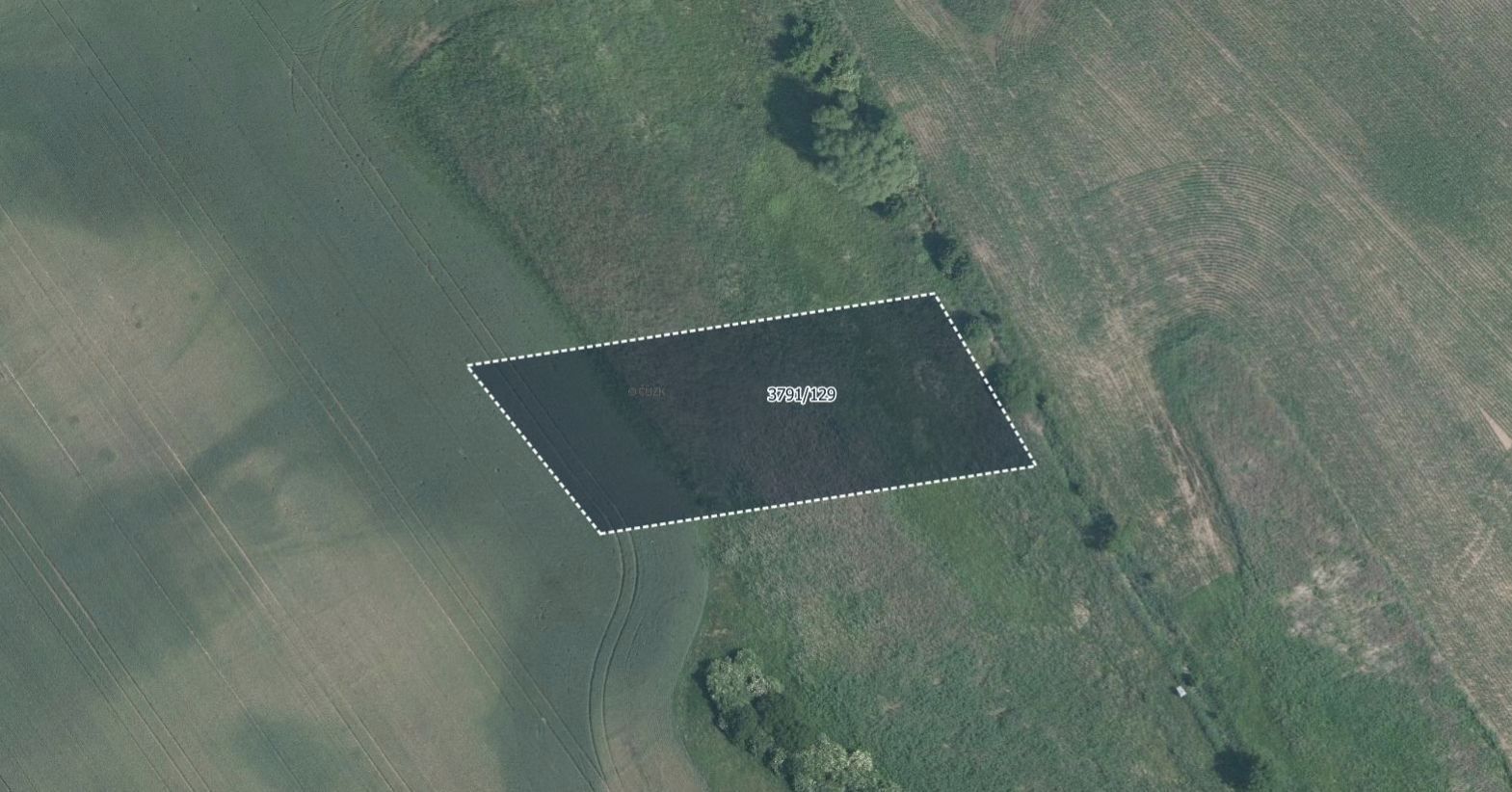 Zemědělské pozemky, Trstěnice