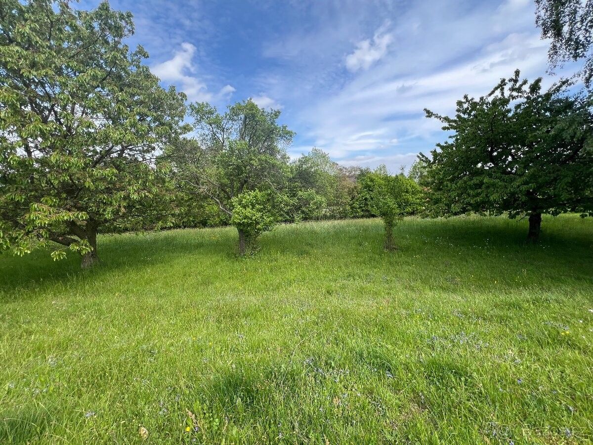 Prodej pozemek pro bydlení - Dvůr Králové nad Labem, 544 01