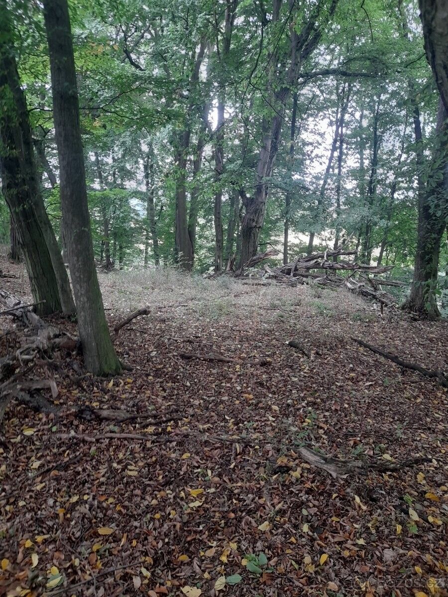 Pozemky pro bydlení, Kostelec nad Orlicí, 517 41 - 1