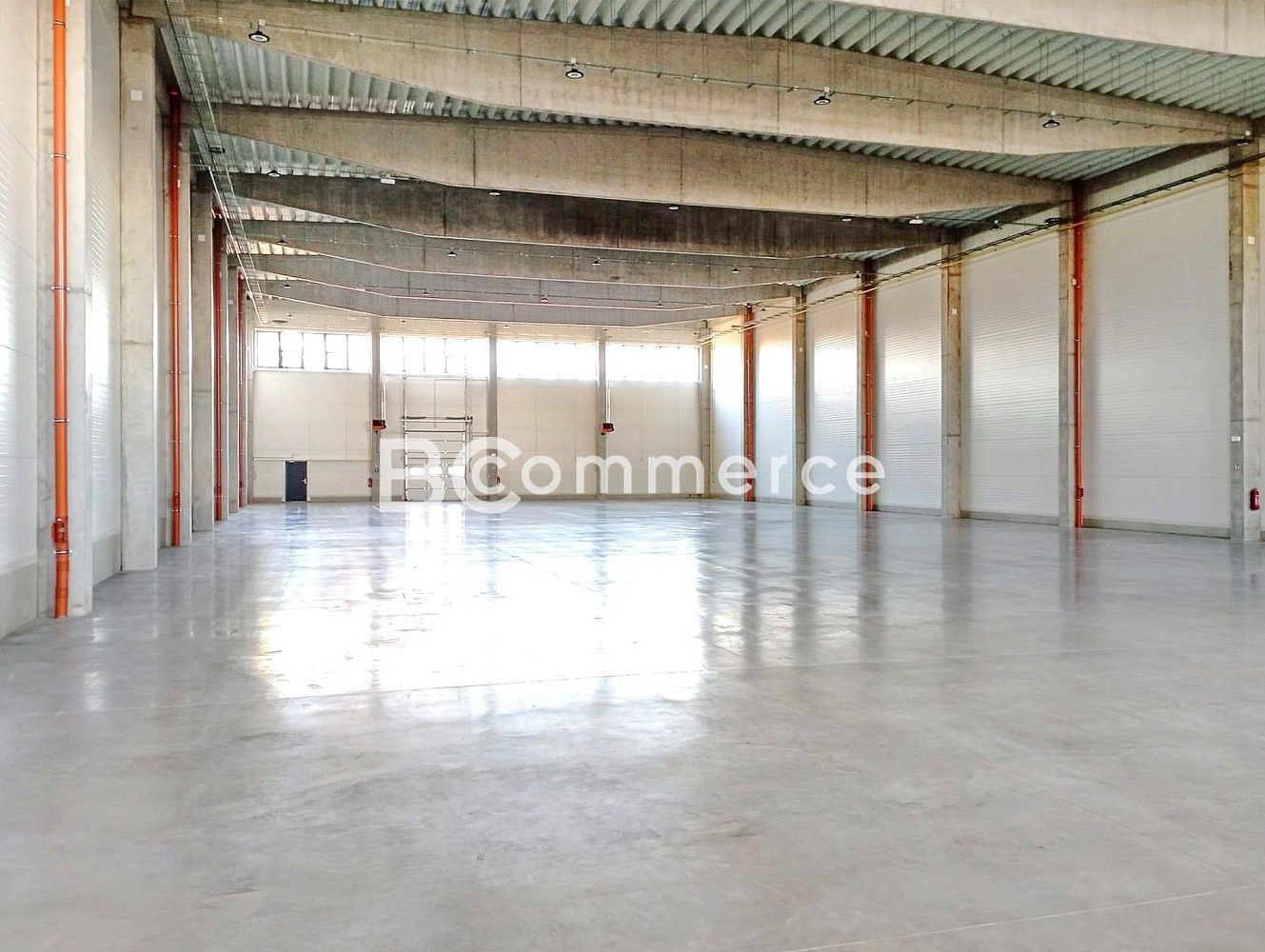Výrobní prostory · 1 481 m² · Holubice, okres Vyškov, Jihomoravský kraj - 3
