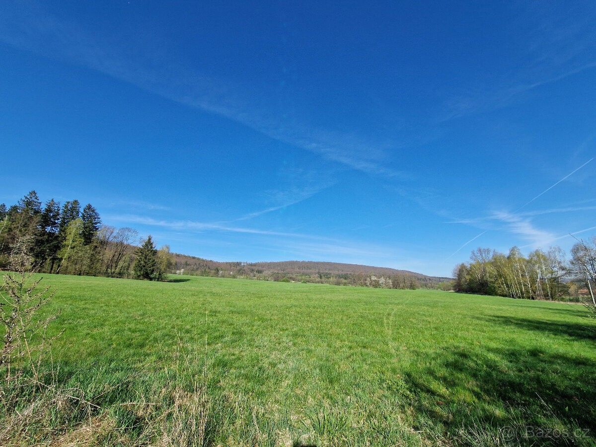 Prodej pozemek pro bydlení - Seč, 538 07