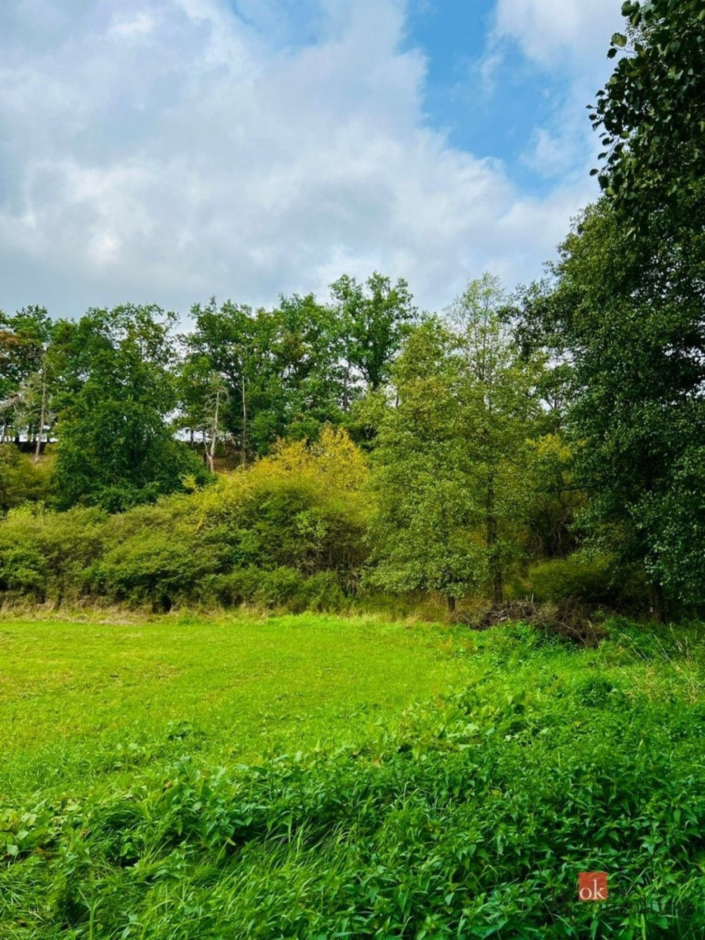 Louky, Rybníky, 1 277 m² - 2