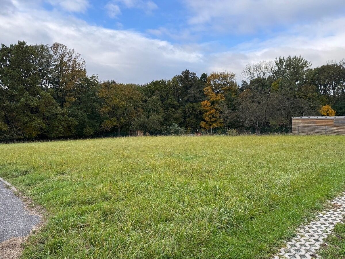 Pozemky pro bydlení, Dobruška, 518 01