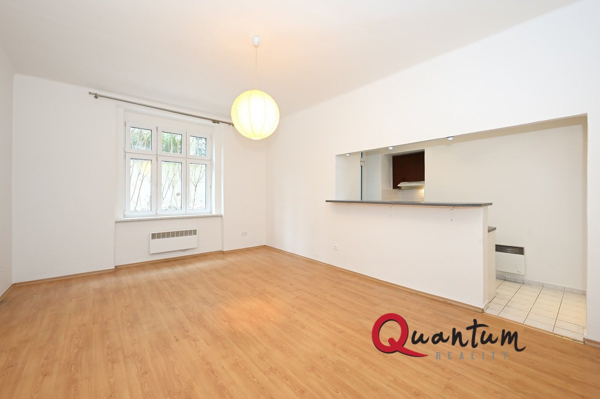 1+kk, Boleslavova 764, Praha, 30 m²