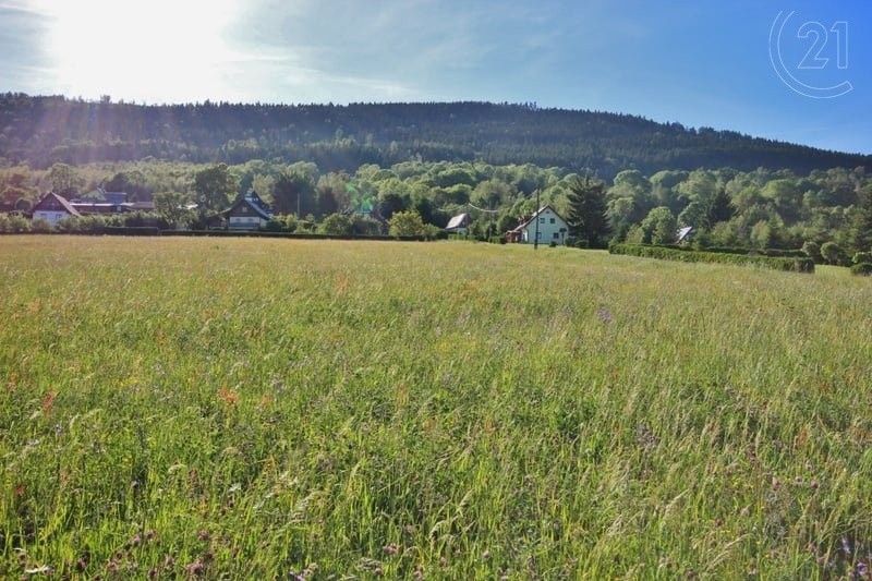 Pozemky pro bydlení, Prachatice, 383 01, 8 100 m²