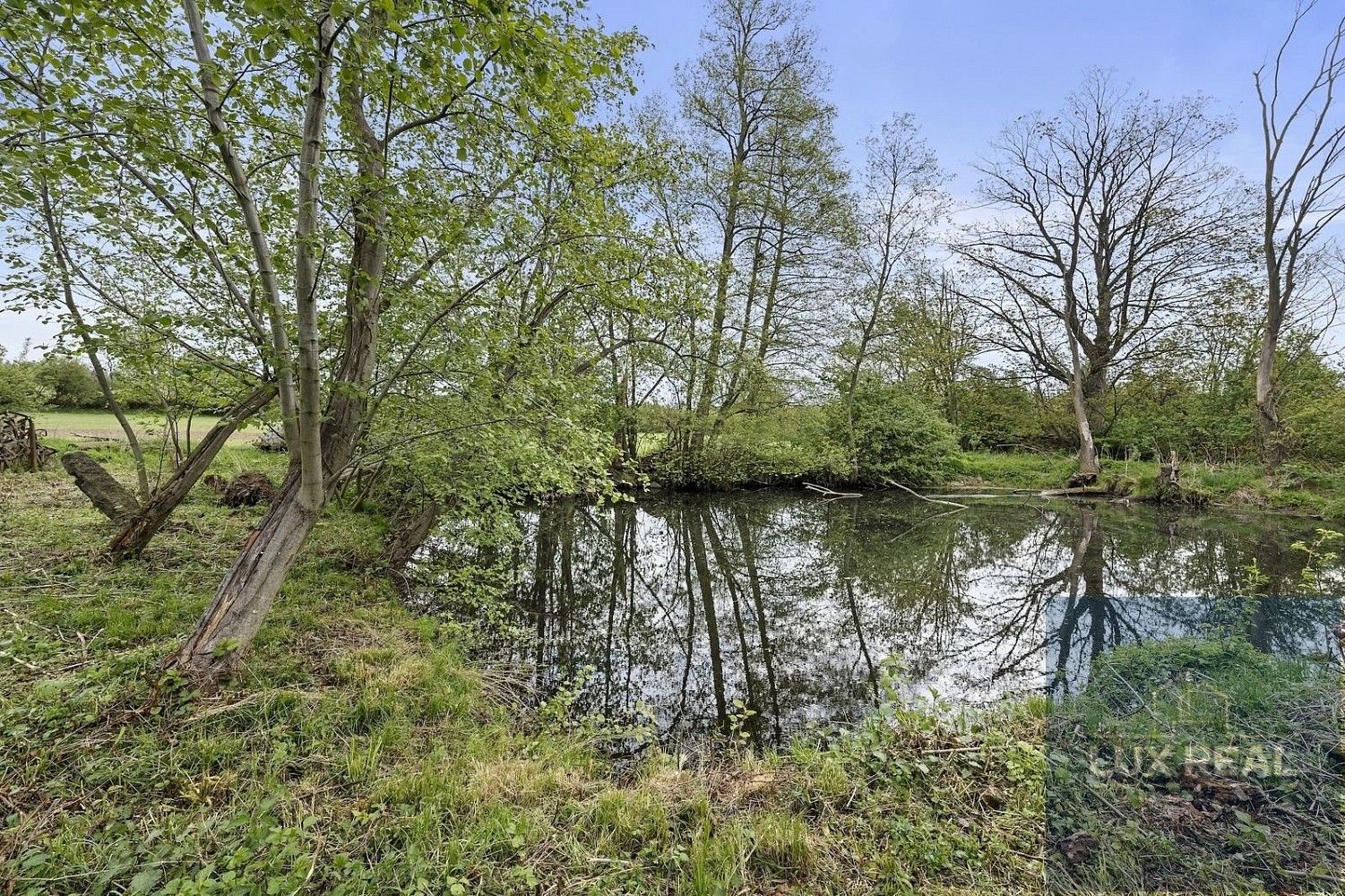 Rodinný dům · 2 953 m² · Petrůvky, okres Třebíč, Kraj Vysočina - 4