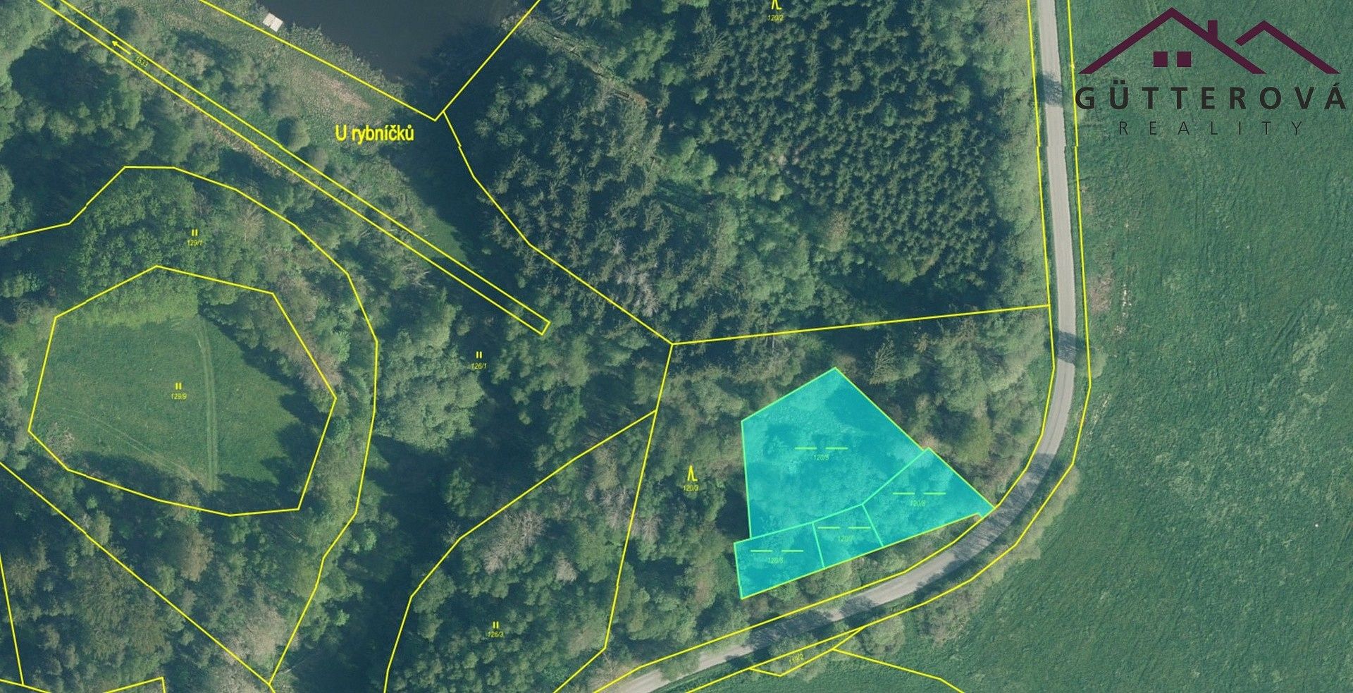 Ostatní, Lesná, okres Tachov, Plzeňský kraj - 1