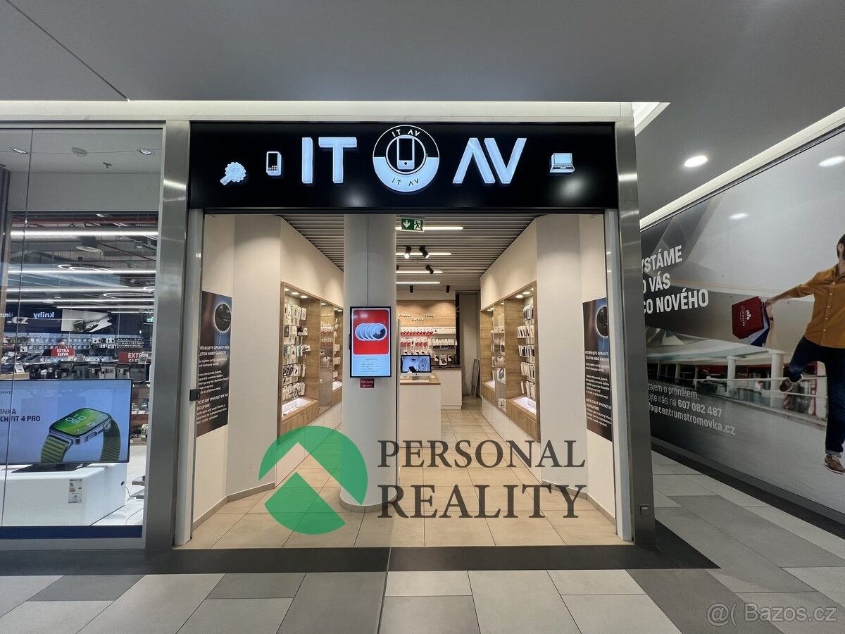 Obchodní prostory, Praha, 170 00