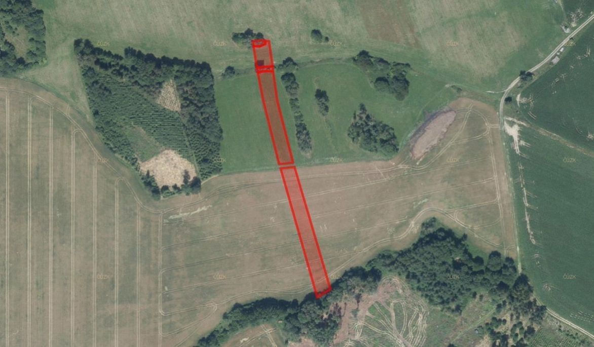 Prodej zemědělský pozemek - Pořežín, Velká Losenice