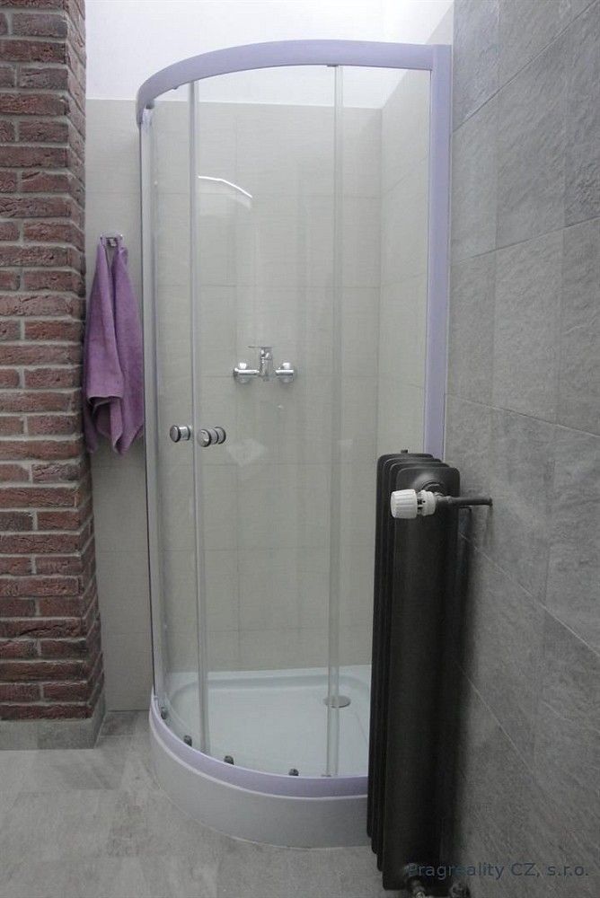 Pronájem byt 1+kk - Praha - Vinohrady, okres Praha 2, Hlavní město Praha, 30 m² - 5