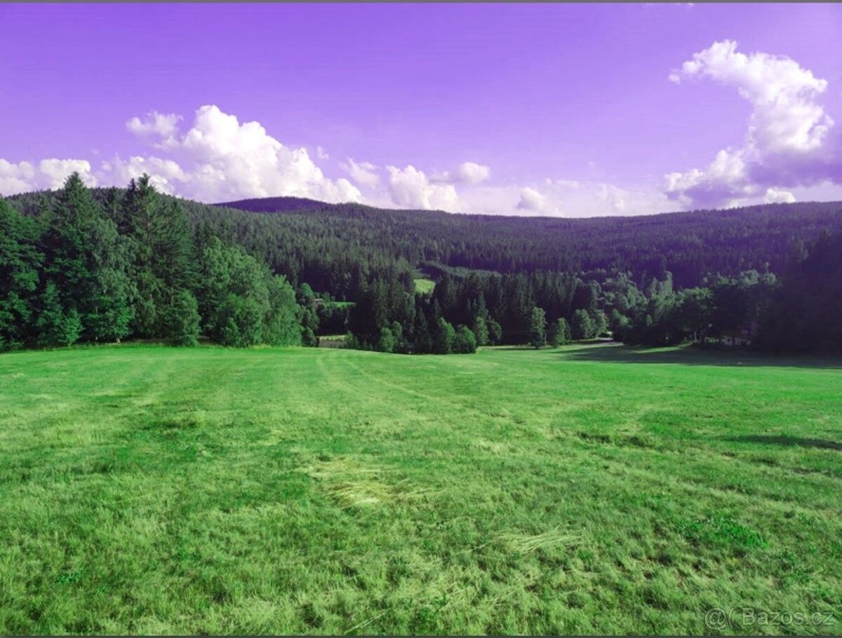 Prodej pozemek pro bydlení - Stachy, 384 73