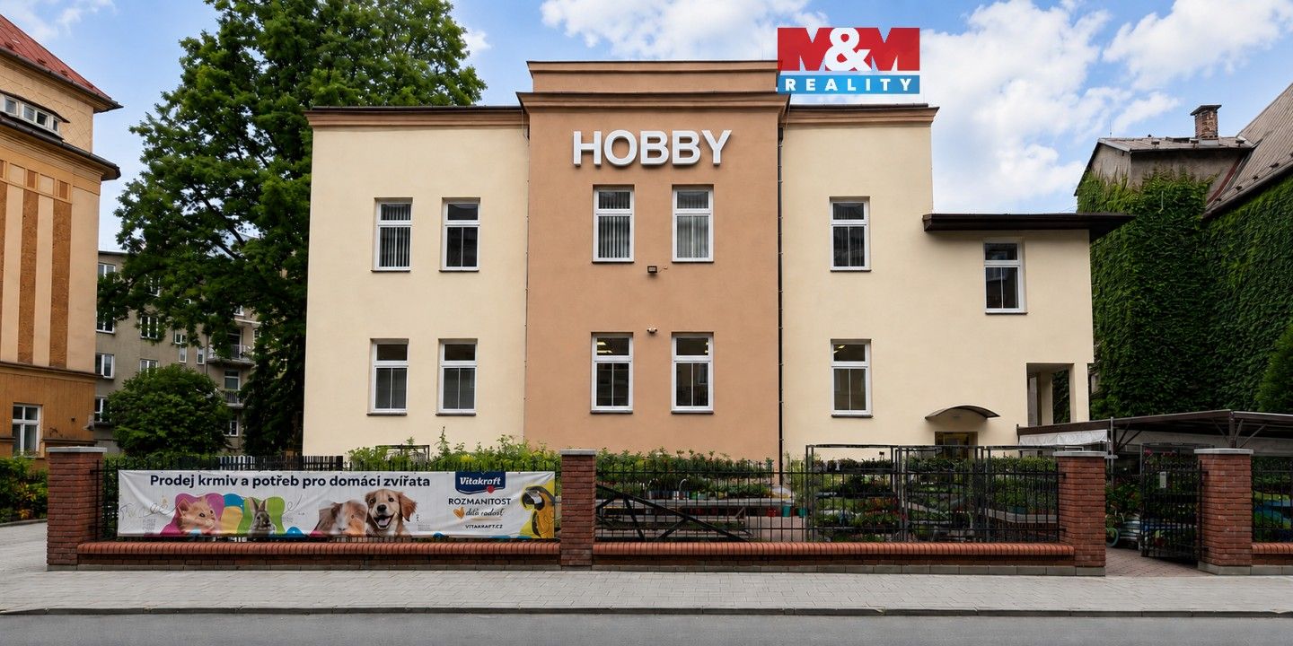 Kanceláře, Dvořákova, Český Těšín, 20 m² - 1