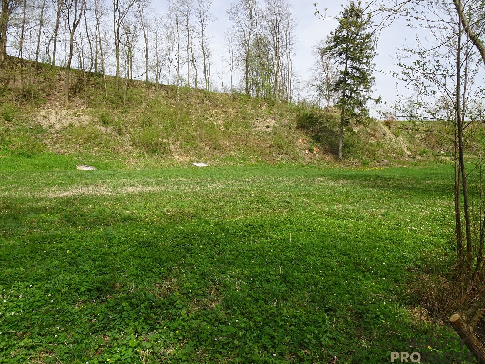 Louka · 5 086 m² · Kvasiny - 3