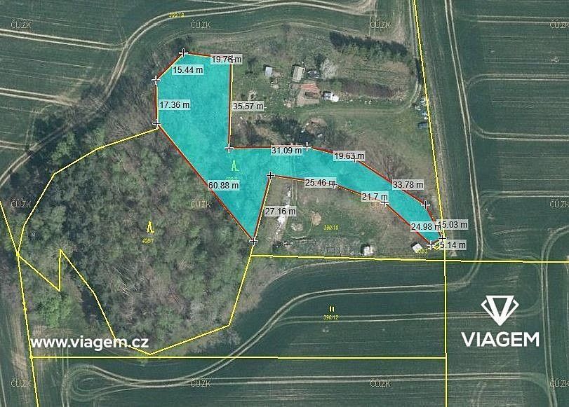 Les · Lipová, okres Cheb, Karlovarský kraj - 4