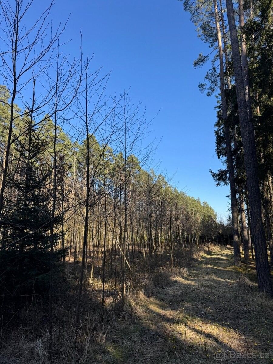 Pozemky pro bydlení, Soběslav, 392 01