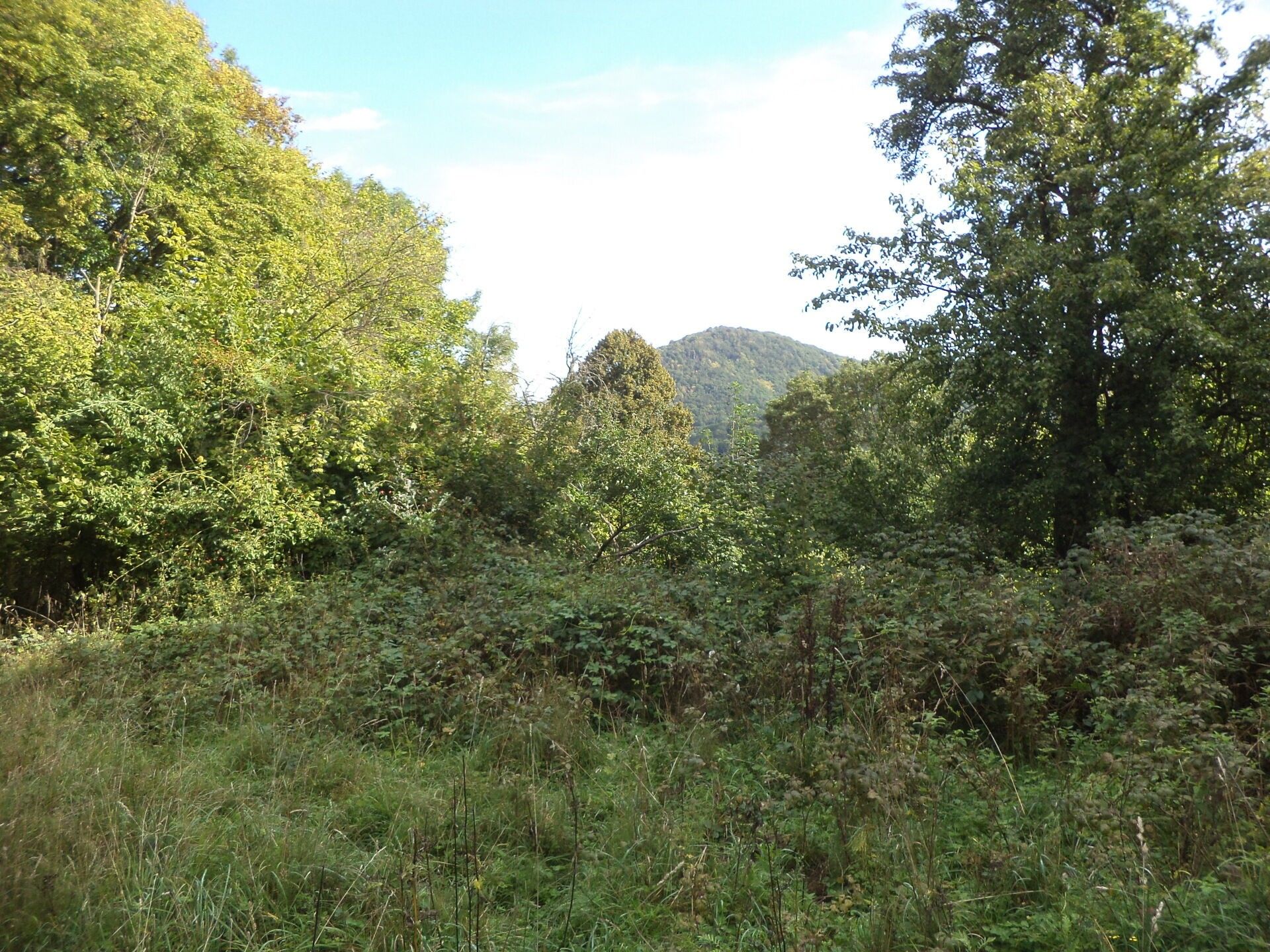 Zemědělský pozemek · 14 517 m² · Malé Březno - 3
