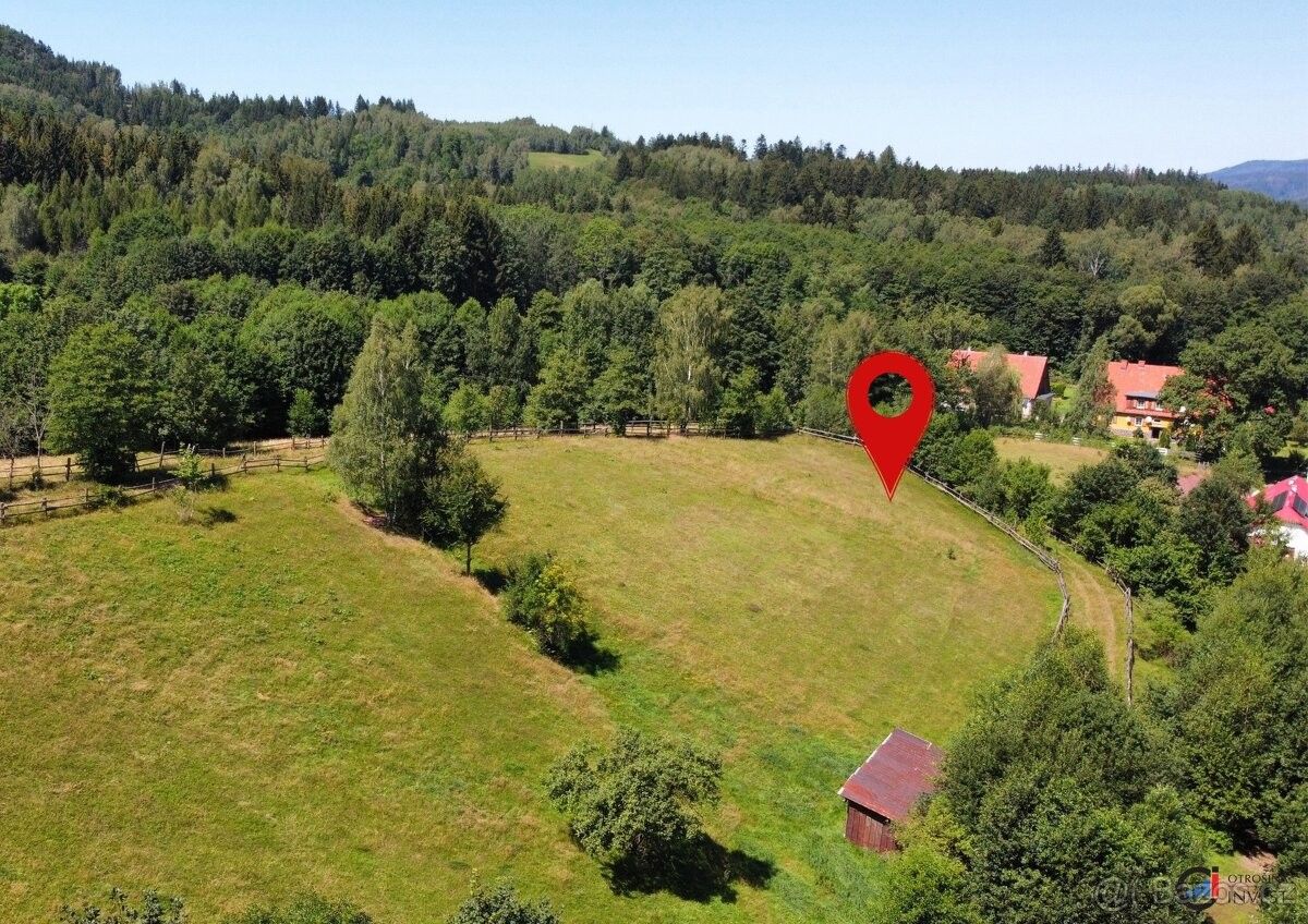 Prodej pozemek pro bydlení - Olešnice v Orlických horách, 517 83