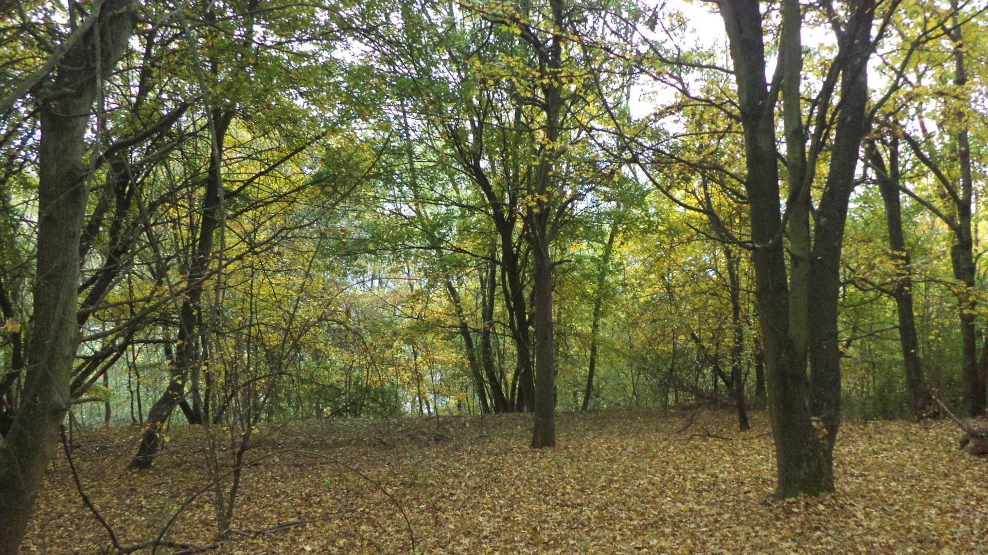 Prodej pozemek - Mojžíř, Ústí nad Labem, 14 m²
